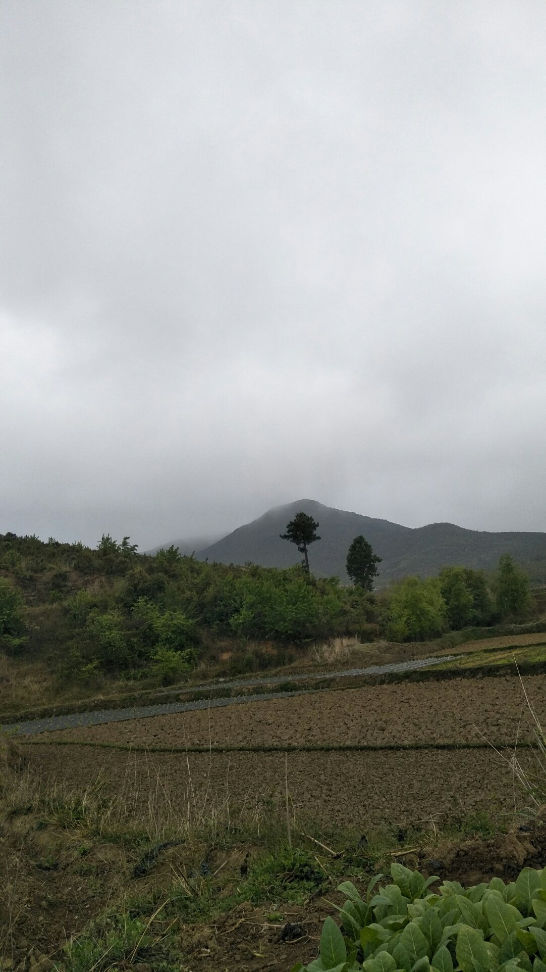 重渠乡天气预报更新通知