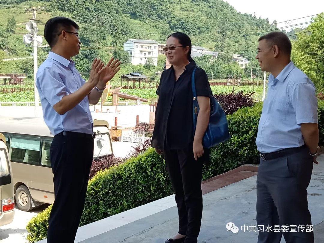 上海乡村交通重塑助力乡村振兴，最新村委会交通新闻动态